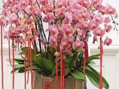 -F.Story 花和故事(新天地店)