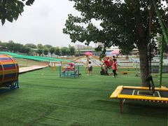 -北京鹿世界主题园