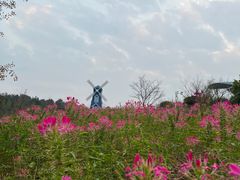 -铁山坪森林公园