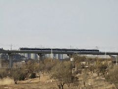 -济南国际园博园