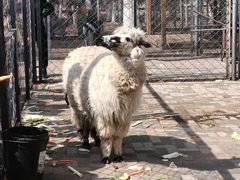 -长白岛森林公园