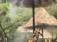 -广州长隆野生动物世界