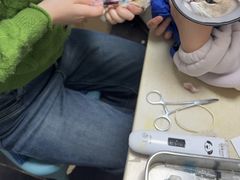 -宠颐生宠物医院(·宠保定点·鹰潭分院)