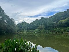 -深圳仙湖植物园