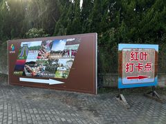 -上海海湾国家森林公园