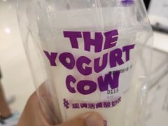 -一只酸奶牛(兰州中心店)