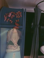 -琦品高端嫩肤经络私佳美场