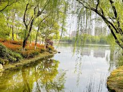 -杭州城北体育公园
