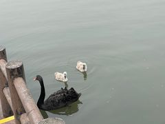-宁波野生动物园