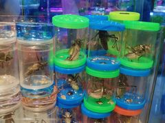 -双季花艺园艺市场(浦东店)
