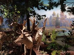 -陕西自然博物馆