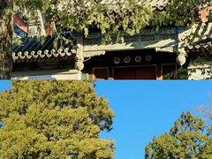 -北海公园