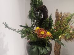 -深圳国际园林花卉博览园