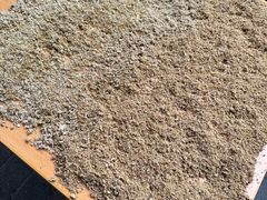 -沙湾姜埋奶(兴新包店)