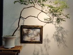 -大书房咖啡(中传国交店)