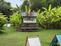 -大象粑粑造纸公园