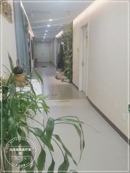 -北京炫美医疗美容
