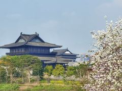 -海珠湖公园