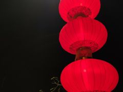 -深圳楚天大酒店(福田口岸深圳会展中心店)