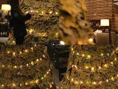 -天津海河悦榕庄·Lobby Lounge大堂吧