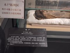 -巴音郭楞蒙古自治州博物馆
