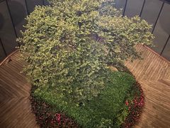 -中国陶瓷谷