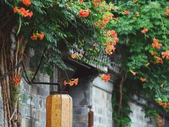 -老门东历史文化街区