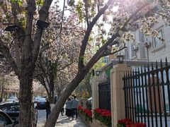 -天津五大道文化旅游区