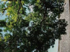 -建水文庙