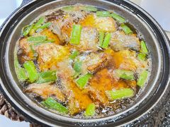 -苏启渔港(云南北路店)