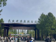 -黄海国家森林公园