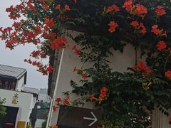 -青果巷历史文化街区