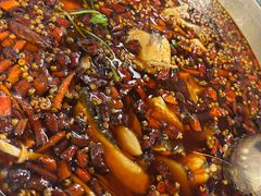 -味之绝热血美蛙鱼火锅(中坝店)