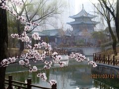 -迎泽公园