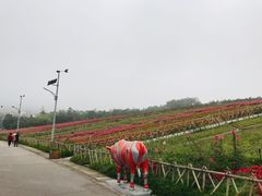 -东部华侨城