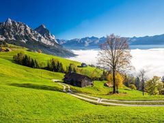 -泉汇购物广场(大沽南路店)