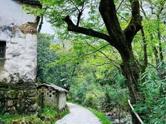 -石台牯牛降景区