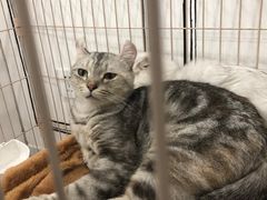 -白夜2D咖啡馆