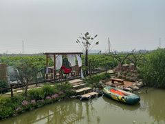 -樂桃源奉贤黄桃种植采摘基地