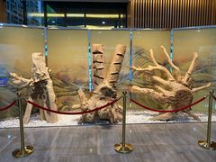 -香市公园-中国沉香文化博物馆