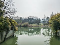 -西溪国家湿地公园