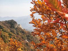 -云蒙山风景区