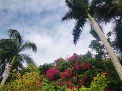 -三亚蜈支洲岛旅游区