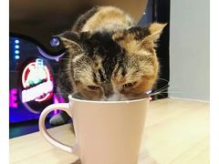 -熙盛源(复兴路店)