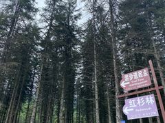 -硗碛藏寨·神木垒景区