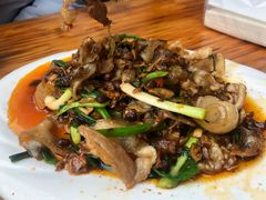 -灯盏窝饭店(新都分店)