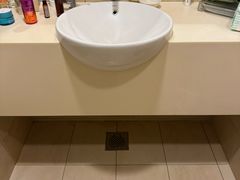 -新加坡柏薇罗切斯特酒店