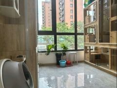-山宅一喵德文卷毛猫舍