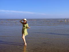 -南汇嘴观海公园