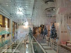 -天空花园餐吧·生日·团建(南山店)
